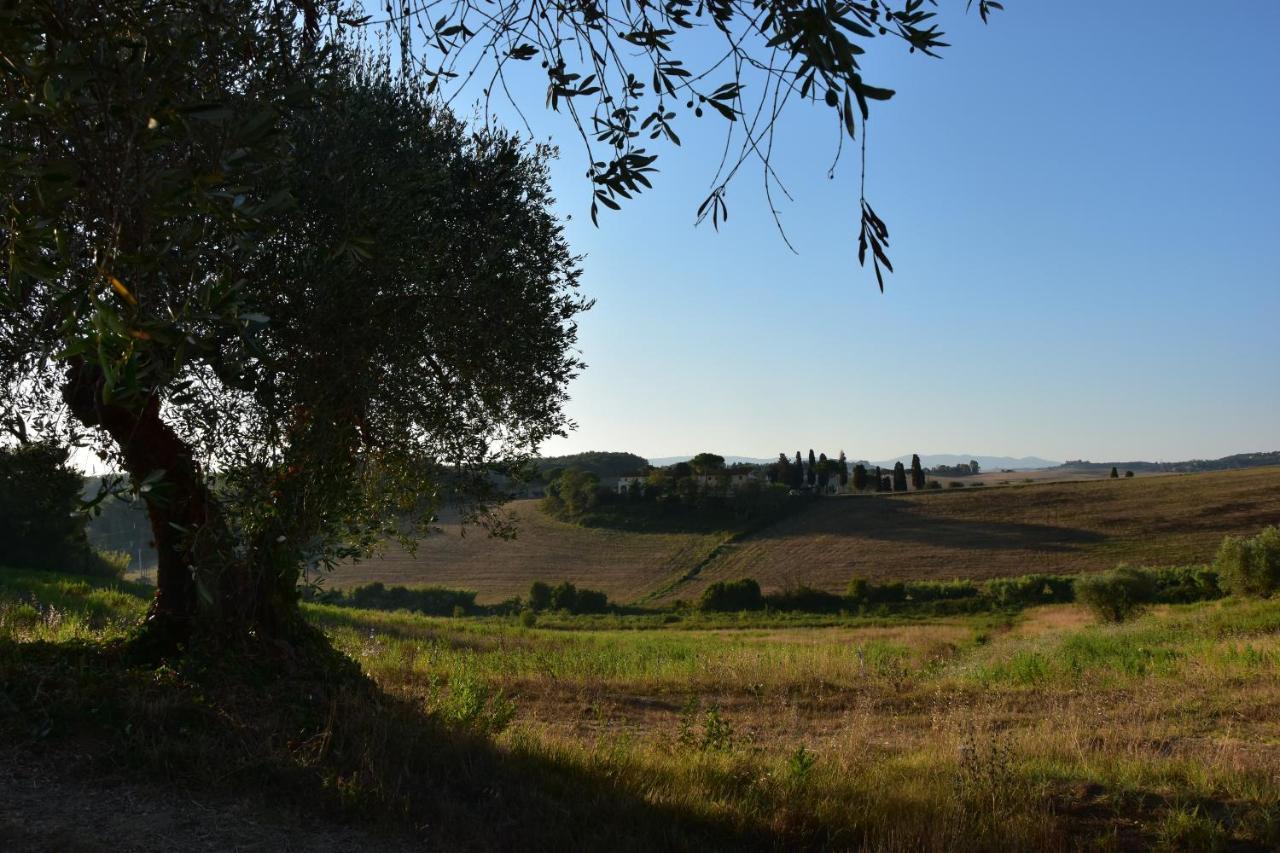 Agriturismo Cheloni Guasticce Luaran gambar